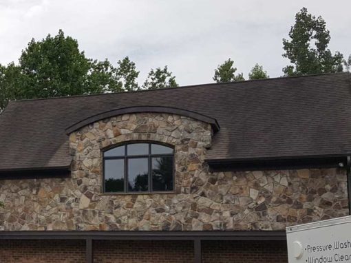 Roof Cleaning Before & After Roof Cleaning Before & After
