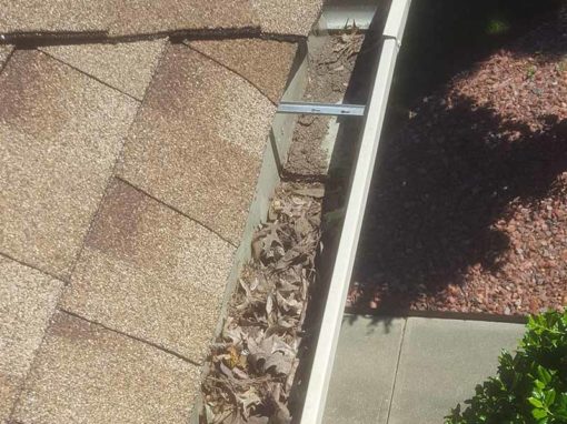 After Gutter Cleaning After Gutter Cleaning